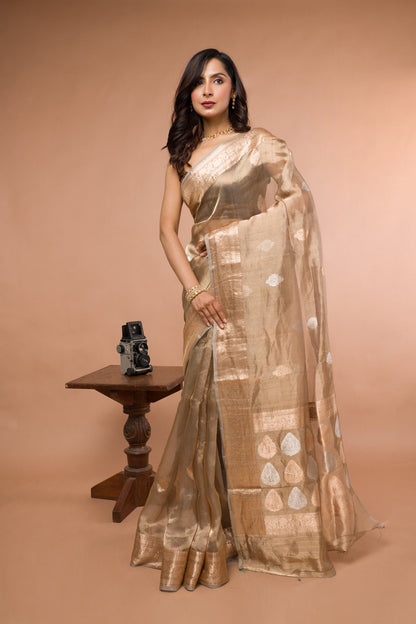 Pestel color Pure Tissue Silk Banarasi Handloom Saree with Zari work