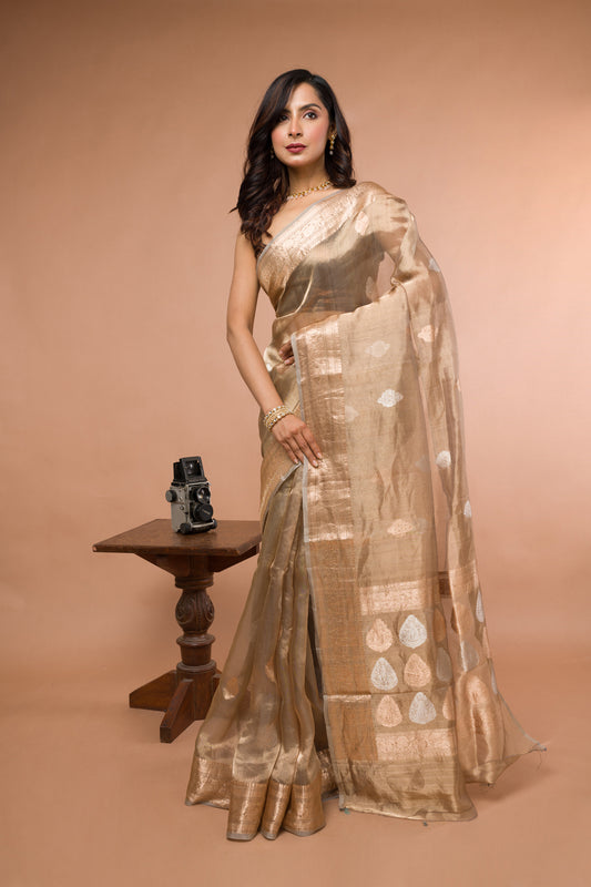 Pestel color Pure Tissue Silk Banarasi Handloom Saree with Zari work