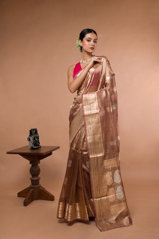 Pastel Pure Tissue Silk Banarasi Handloom Saree with Zari work