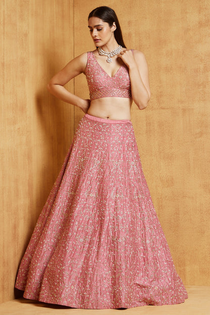 Pink Colour Lehanga