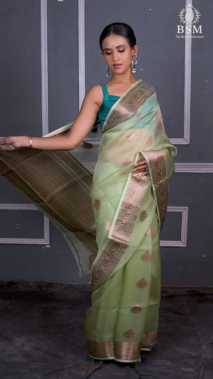 Pista Pure Organza Silk Banarasi Handloom Saree with Zari work