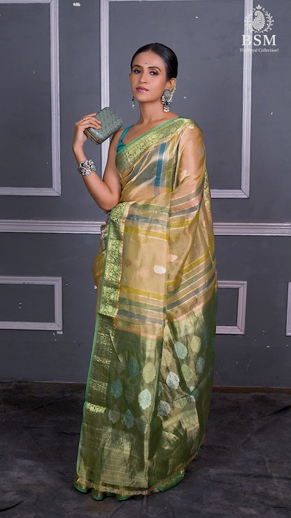 Multicolor Pure Tissue Silk Banarasi Handloom Saree with Zari work