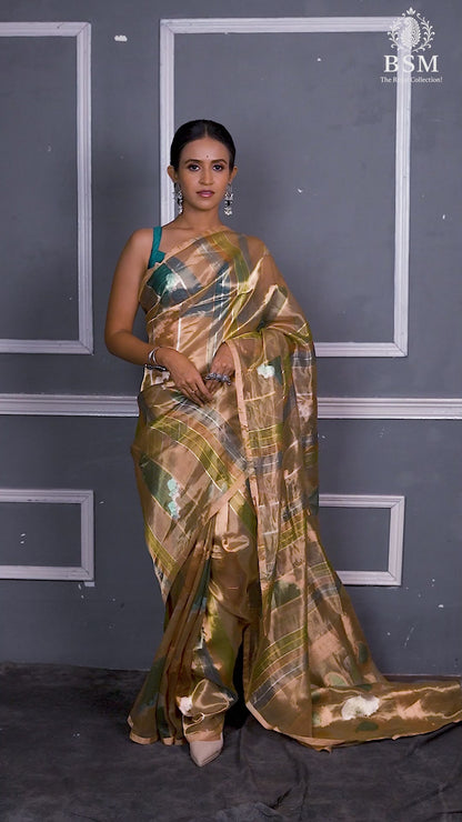 Multicolor Pure Tissue Silk Banarasi Handloom Saree with Zari work